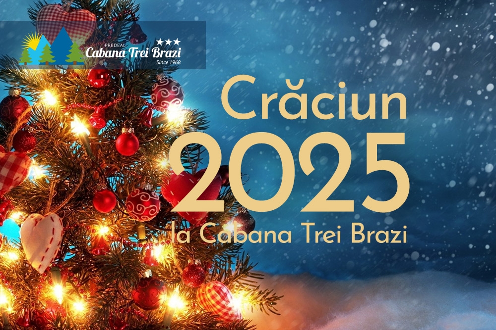 Oferta Craciun 2025